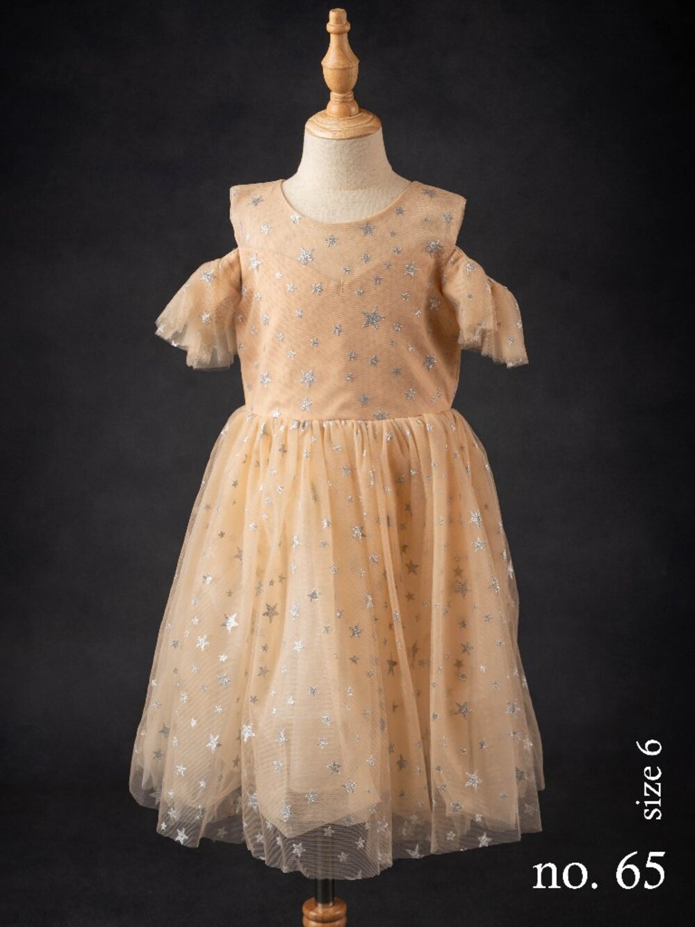 Trish Scully tulle champagne start dress, size 6
